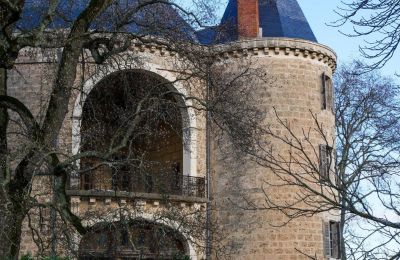 Burg erwerben Valence, Auvergne-Rhône-Alpes, Foto 7/28