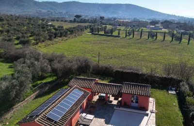 Historische Villa erwerben Cortona, Toskana, Foto 15/66