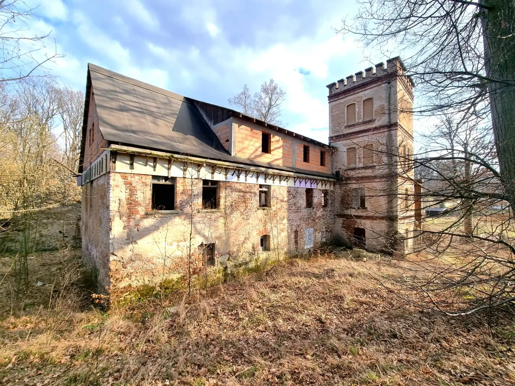 Photos 