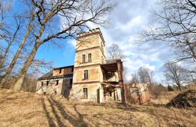 Demeure historique à vendre Staniszów, Basse-Silésie, Image 9/26