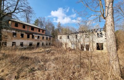 Demeure historique à vendre Staniszów, Basse-Silésie, Image 3/26