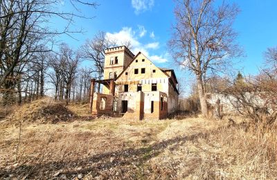 Demeure historique à vendre Staniszów, Basse-Silésie, Image 12/26