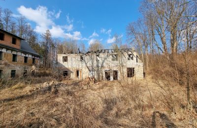 Demeure historique à vendre Staniszów, Basse-Silésie, Image 2/26