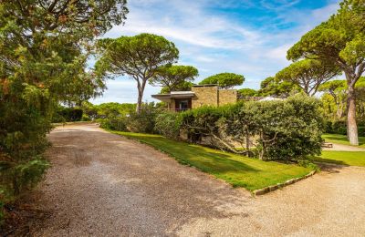 Villa storica in vendita Rocchette, Toscana, Foto 9/60