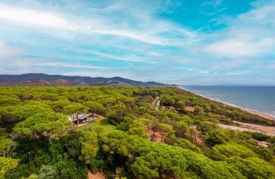 Villa storica in vendita Rocchette, Toscana, Foto 33/60