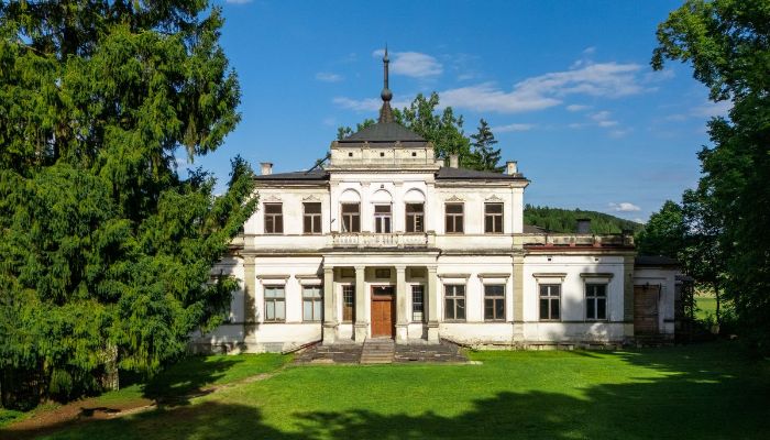 Schloss erwerben Sancygniów, Heiligkreuz