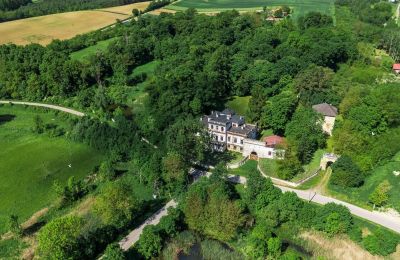 Schloss erwerben Sancygniów, Heiligkreuz, Foto 3/40