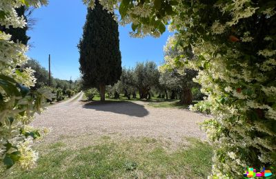 Historische Villa erwerben 06061 Castiglione del Lago, localita croce 2, Umbrien, Foto 32/38