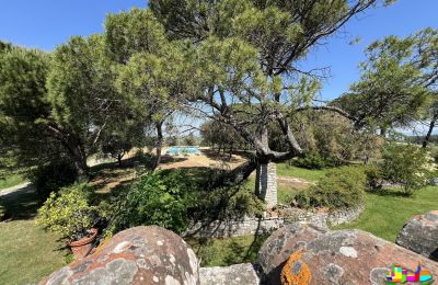 Historische Villa erwerben 06061 Castiglione del Lago, localita croce 2, Umbrien, Foto 18/38