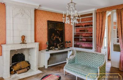 Château à vendre Chenonceaux, Centre-Val de Loire, Image 10/32