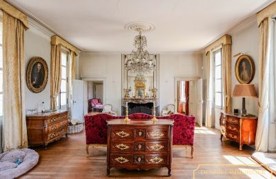 Château à vendre Chenonceaux, Centre-Val de Loire, Image 6/32