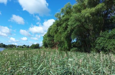 Propriété historique à vendre Wioska, Cujavie-Poméranie, Image 17/19