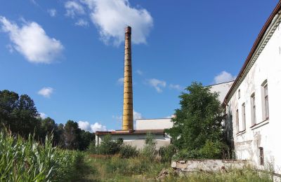 Propriété historique à vendre Wioska, Cujavie-Poméranie, Image 14/19