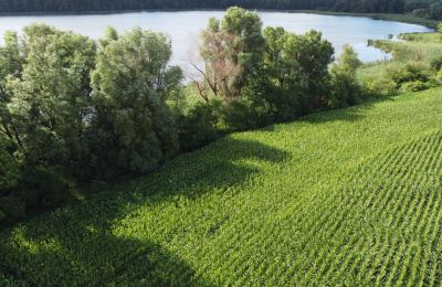 Propriété historique à vendre Wioska, Cujavie-Poméranie, Image 19/19