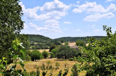 Casale in vendita Uzès, Occitania, Foto 18/38