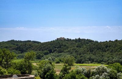 Proprietà storica in vendita Uzès, Occitania, Foto 32/32