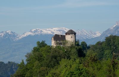 Schloss kaufen 6845 Hohenems, Vorarlberg, Foto 2/20