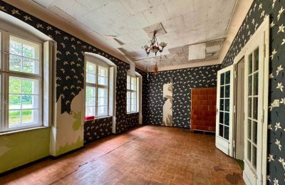 Herrenhaus kaufen Tarchalin, Großpolen, Foto 16/20