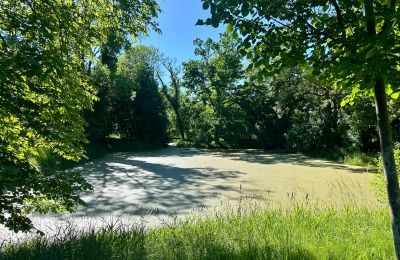 Château médiéval à vendre 18513 Glewitz, Turow 19, Mecklembourg-Poméranie-Occidentale, der Schloss See