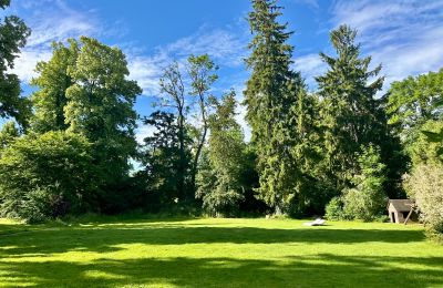 Château médiéval à vendre 18513 Glewitz, Turow 19, Mecklembourg-Poméranie-Occidentale, Image 53/100
