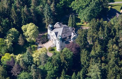 Villa storica in vendita 08539 Mehltheuer, Hohe Straße 32, Sassonia, Foto con drone