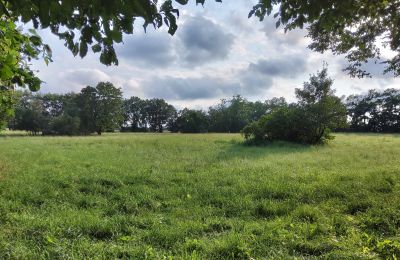 Herrenhaus kaufen Pakosław, Großpolen, Foto 13/15