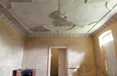 Herrenhaus kaufen Pakosław, Großpolen, Foto 9/15