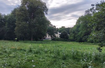 Herrenhaus kaufen Pakosław, Großpolen, Foto 15/15