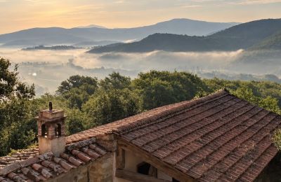 Villa storica in vendita Cortona, Toscana, Foto 21/21