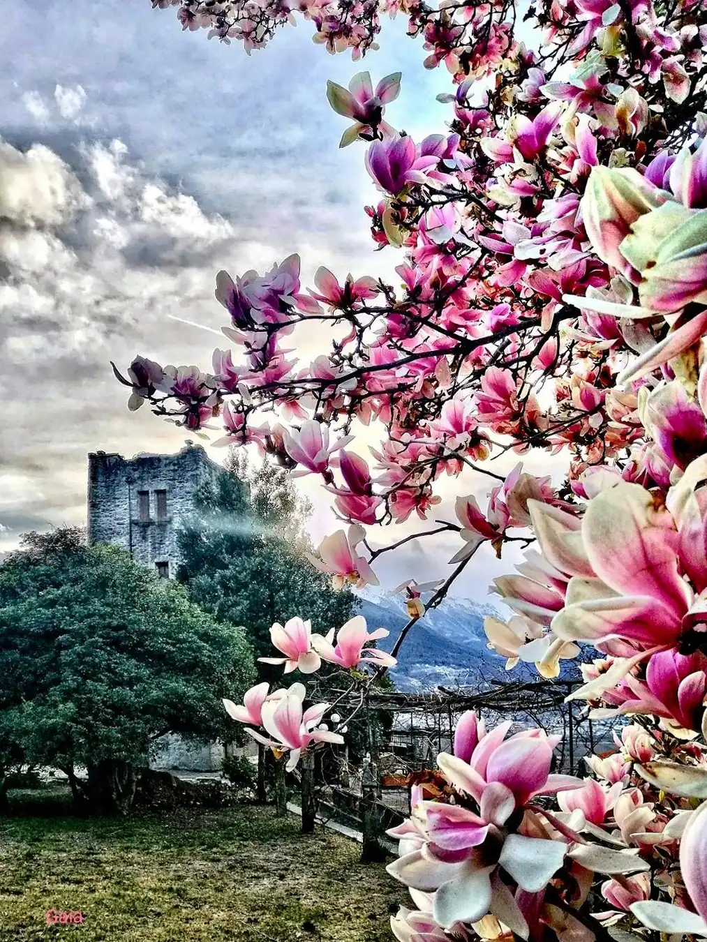 Fotos Historischer Wachturm mit Alpenblick bei Domodossola