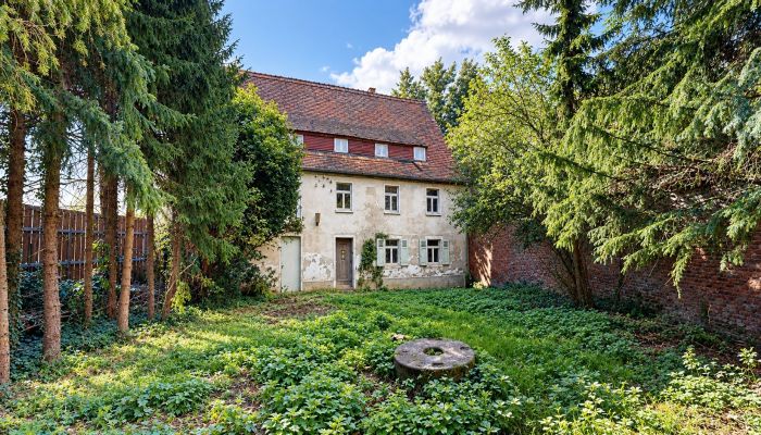 Historische Liegenschaft kaufen 06686 Lützen, Sachsen-Anhalt