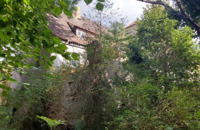 Historische Liegenschaft kaufen 06686 Lützen, Leipziger Straße 13, Sachsen-Anhalt, Historische-Wassermuhle-von-Franz-Stockchen-direkt-am-Rippach (9)