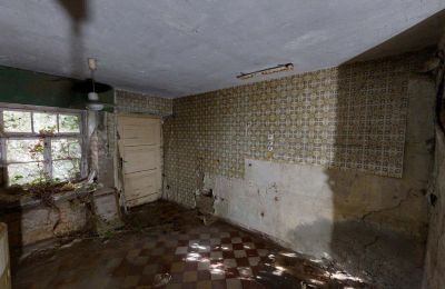 Historische Liegenschaft kaufen 06686 Lützen, Leipziger Straße 13, Sachsen-Anhalt, Historische-Wassermuhle-von-Franz-Stockchen-direkt-am-Rippach (31)