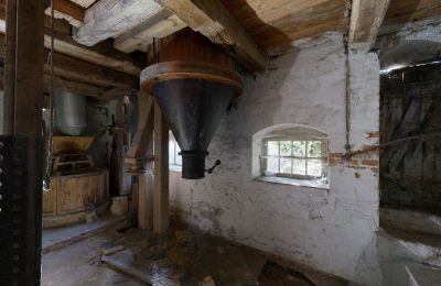 Historische Liegenschaft kaufen 06686 Lützen, Leipziger Straße 13, Sachsen-Anhalt, Historische-Wassermuhle-von-Franz-Stockchen-direkt-am-Rippach (26)