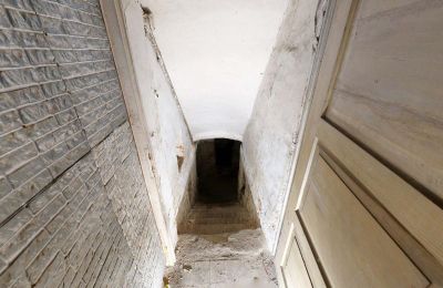Historische Liegenschaft kaufen 06686 Lützen, Leipziger Straße 13, Sachsen-Anhalt, Historische-Wassermuhle-von-Franz-Stockchen-direkt-am-Rippach (30)