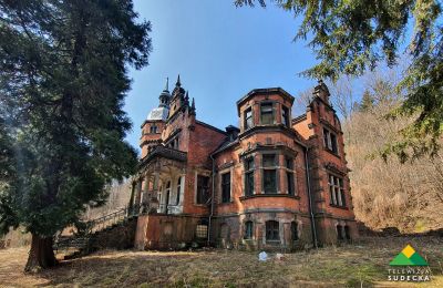 Villa storica in vendita Nowa Ruda, Piłsudskiego 20, Bassa Slesia, Foto 2/20
