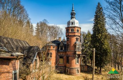 Villa storica in vendita Nowa Ruda, Piłsudskiego 20, Bassa Slesia, Foto 4/20
