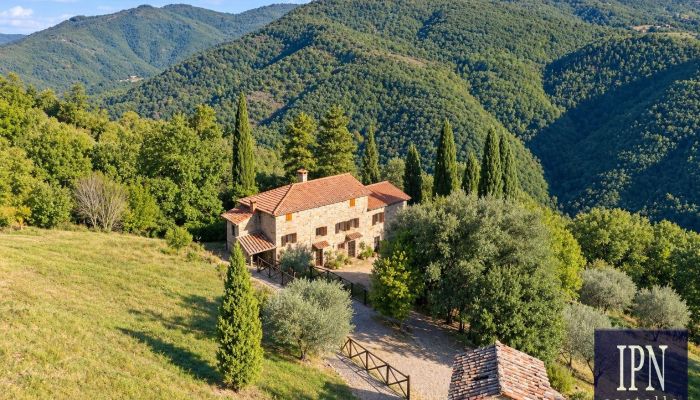 Casa colonica con oliveto e vista panoramica tra Toscana e Umbria