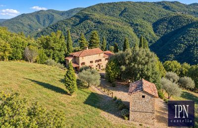 Casale in vendita Santa Maria alla Rassinata, Toscana, Foto 3/42