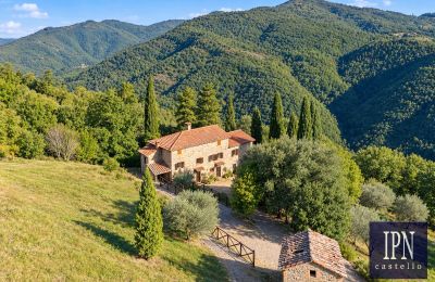 Casale in vendita Santa Maria alla Rassinata, Toscana, Foto 1/42