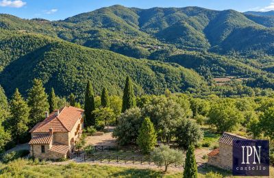 Casale in vendita Santa Maria alla Rassinata, Toscana, Foto 10/42