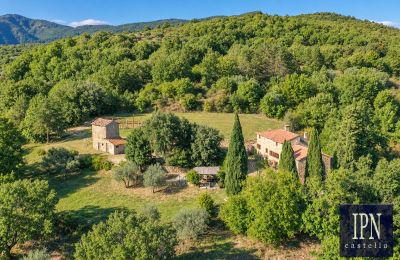 Casale in vendita Santa Maria alla Rassinata, Toscana, Foto 7/42
