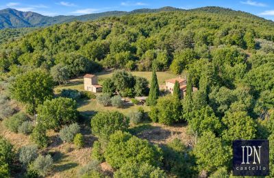 Casale in vendita Santa Maria alla Rassinata, Toscana, Foto 8/42