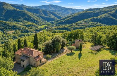 Casale in vendita Santa Maria alla Rassinata, Toscana, Foto 2/42