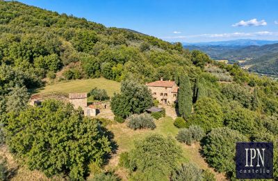 Casale in vendita Santa Maria alla Rassinata, Toscana, Foto 6/42