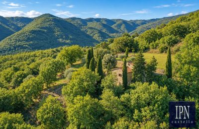 Casale in vendita Santa Maria alla Rassinata, Toscana, Foto 9/42