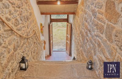 Casale in vendita Santa Maria alla Rassinata, Toscana, Foto 37/42