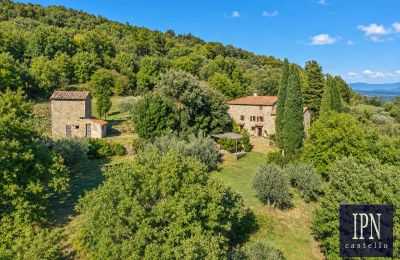 Casale in vendita Santa Maria alla Rassinata, Toscana, Foto 4/42