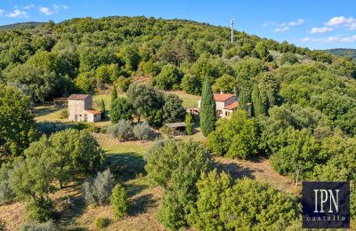 Casale in vendita Santa Maria alla Rassinata, Toscana, Foto 11/42