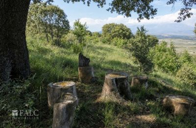Proprietà storica in vendita San Agustín, Aragona, Foto 16/27